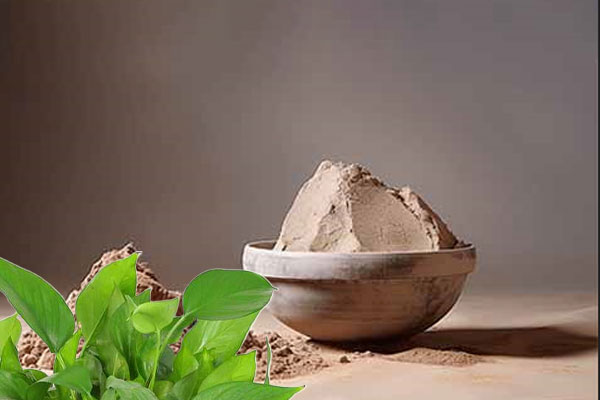 ویژگی‌های خاک رس و تاثیر آن بر روی رشد گیاهان