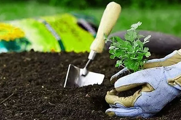 تعویض خاک در باغ‌ها به چه معنا است؟