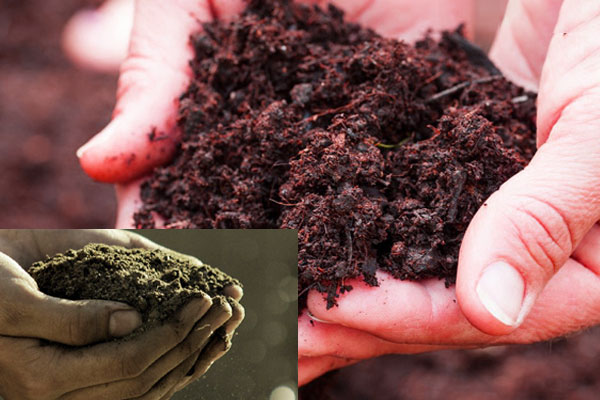 چیستی خاک و برگ و خاک معمولی