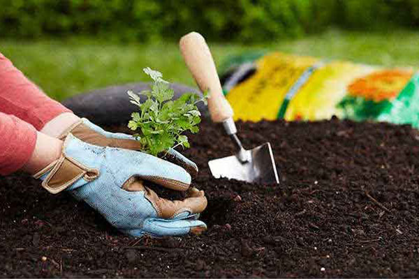 چگونه برای گیاهان خود خاک‌ مناسب انتخاب نماییم؟