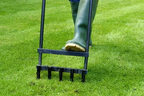 چگونه می‌توان تهویه خاک را افزایش داد؟