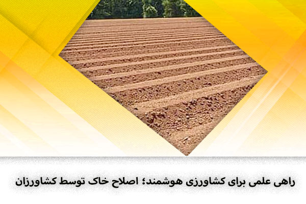 راهی علمی برای کشاورزی هوشمند؛ اصلاح خاک توسط کشاورزان