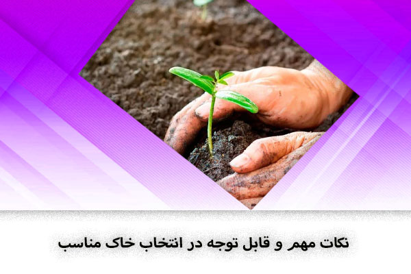 نکات مهم و قابل توجه در انتخاب خاک مناسب