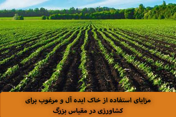 مزایای استفاده از خاک ایده آل و مرغوب برای کشاورزی در مقیاس بزرگ