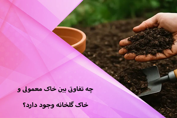 چه تفاوتی بین خاک معمولی و خاک گلخانه وجود دارد؟