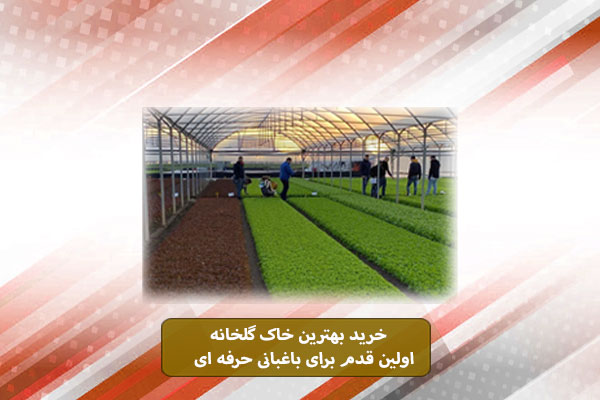 خرید بهترین خاک گلخانه: اولین قدم برای باغبانی حرفه ای