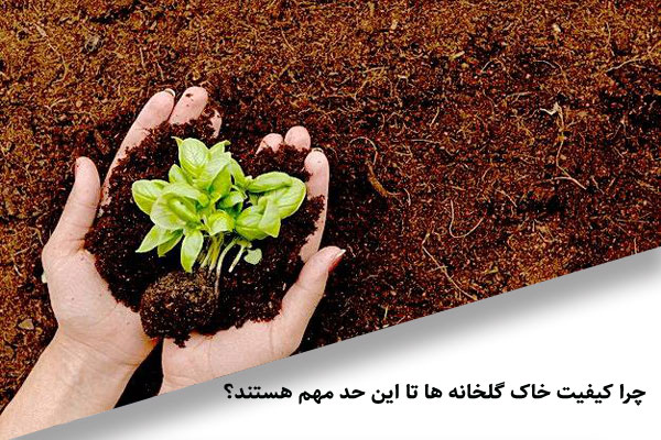 چرا کیفیت خاک گلخانه ها تا این حد مهم هستند؟