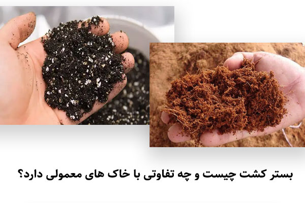 بستر کشت چیست و چه تفاوتی با خاک های معمولی دارد؟