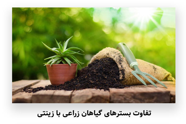 تفاوت بسترهای گیاهان زراعی با زینتی