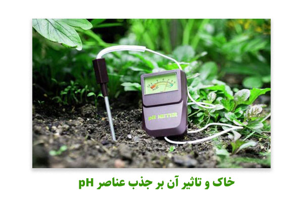 pH خاک و تاثیر آن بر جذب عناصر