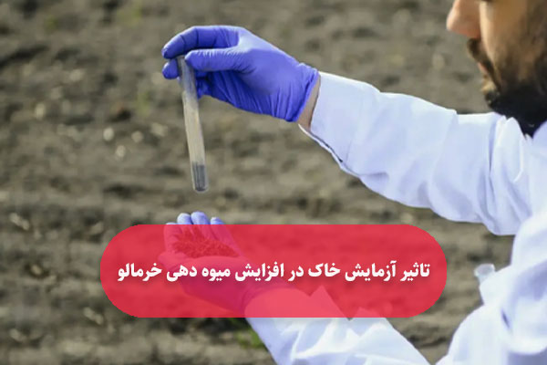 تاثیر آزمایش خاک در افزایش میوه ‌دهی خرمالو