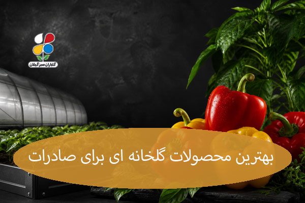 بهترین محصولات گلخانه ای برای صادرات