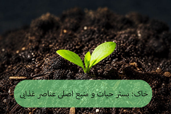 خاک: بستر حیات و منبع اصلی عناصر غذایی