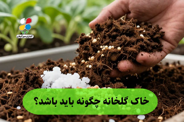 خاک گلخانه چگونه باید باشد؟