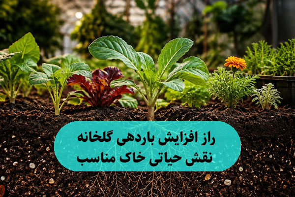 راز افزایش باردهی گلخانه: نقش حیاتی خاک مناسب