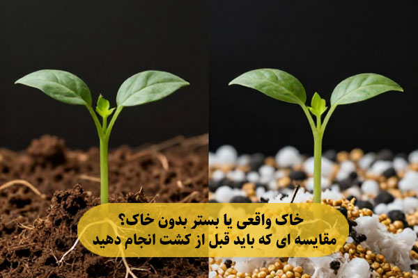 خاک واقعی یا بستر بدون خاک؟ مقایسه‌ ای که باید قبل از کشت انجام دهید