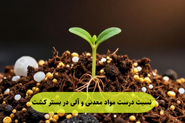 نسبت درست مواد معدنی و آلی در بستر کشت