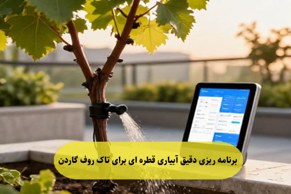 برنامه ‌ریزی دقیق آبیاری قطره ‌ای برای تاک روف گاردن