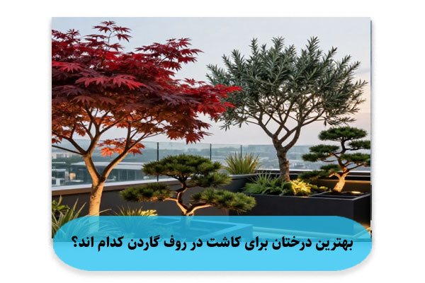 بهترین درختان برای کاشت در روف گاردن کدام اند؟