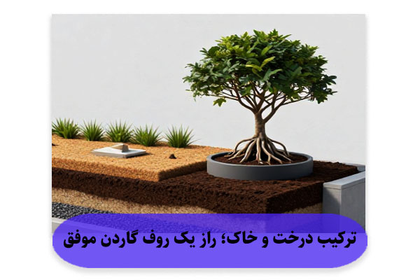 ترکیب درخت و خاک؛ راز یک روف گاردن موفق